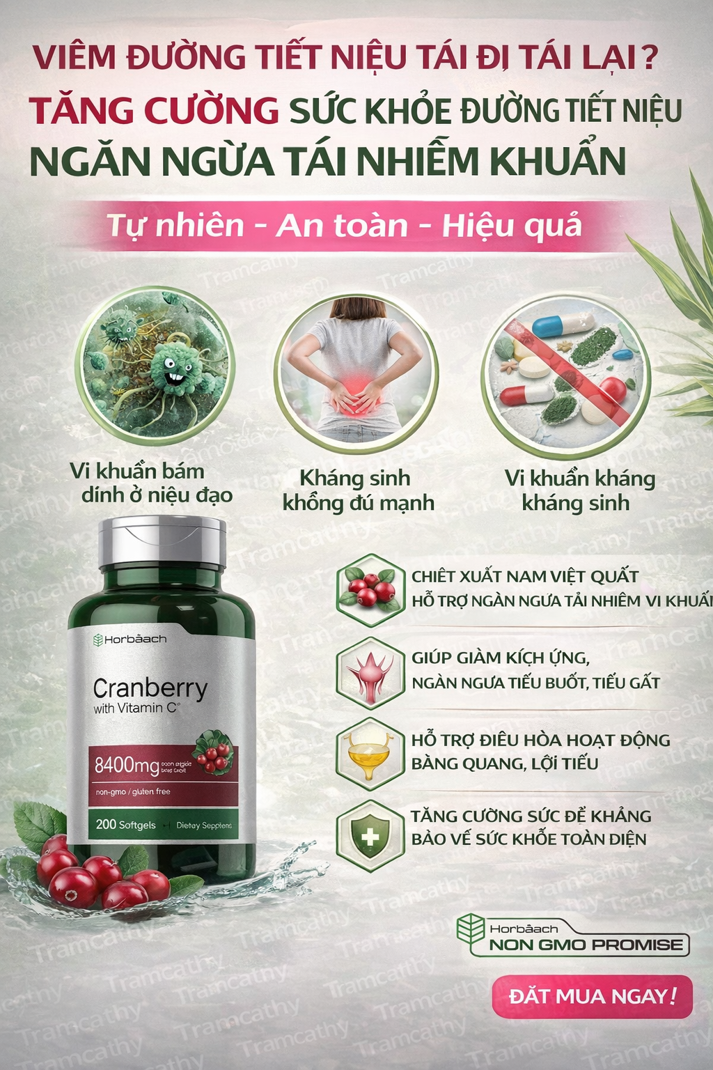 Viêm đường tiết niệu tái đi tái lại Vì sao ngày càng nhiều người gặp phải