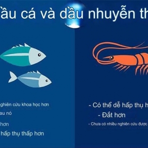 Sự khác nhau của Krill oil và Fish oil ,dầu nhuyễn thể và dầu cá