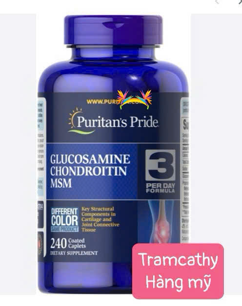 240 viên Puritan’s Pride Glucosamine Chondroitin MSM – Hỗ trợ xương khớp chắc khỏe, vận động linh ho