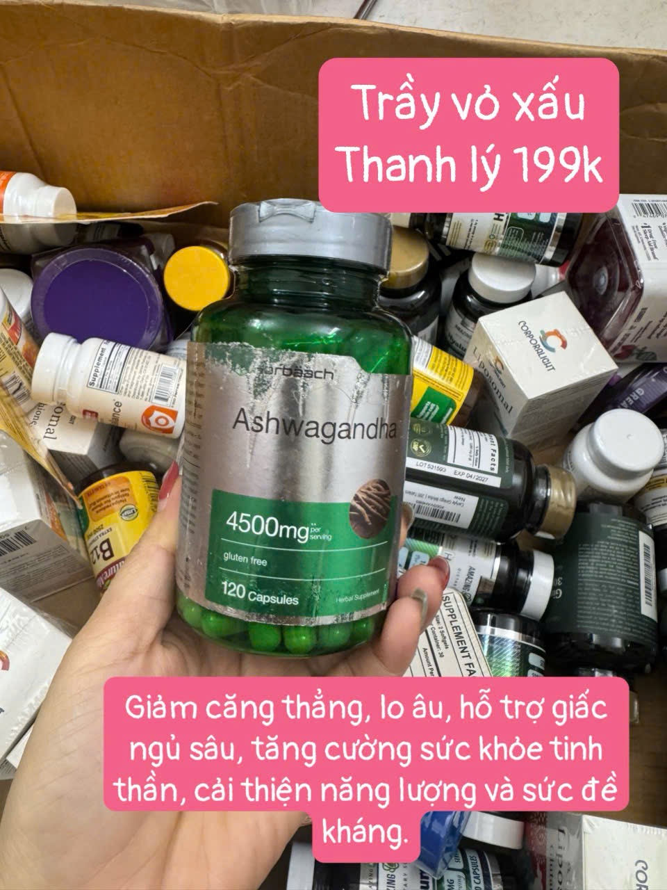 Probach Ashwagandha 4500mg – Giảm stress, hỗ trợ giấc ngủ, tăng sức đề kháng – Lọ 120 viên
