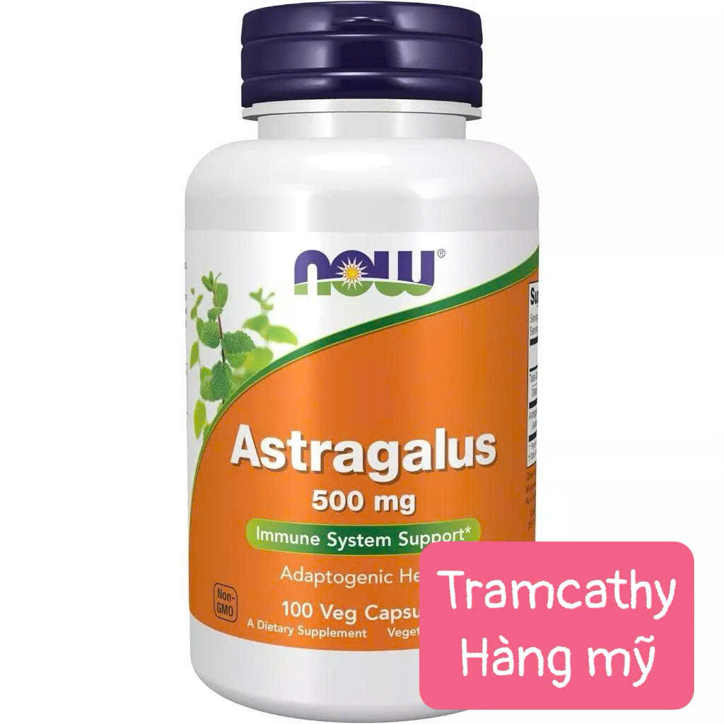 100 viên NOW Astragalus 500mg 